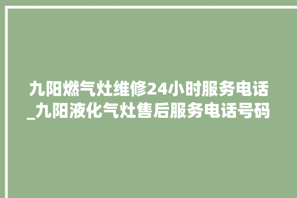 九阳燃气灶维修24小时服务电话_九阳液化气灶售后服务电话号码。九阳_液化气