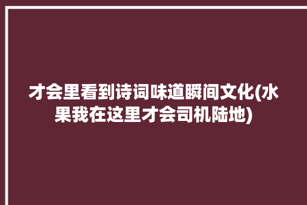 才会里看到诗词味道瞬间文化(水果我在这里才会司机陆地)