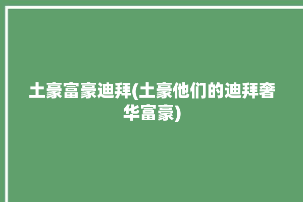 土豪富豪迪拜(土豪他们的迪拜奢华富豪)