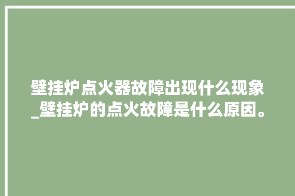 壁挂炉点火器故障出现什么现象_壁挂炉的点火故障是什么原因。故障_点火器