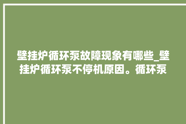 壁挂炉循环泵故障现象有哪些_壁挂炉循环泵不停机原因。循环泵_壁挂炉