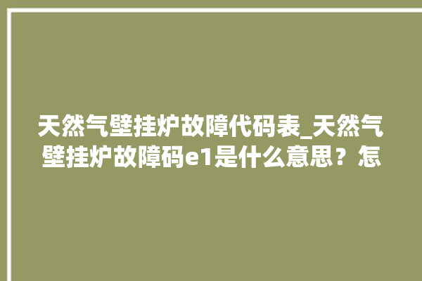 天然气壁挂炉故障代码表_天然气壁挂炉故障码e1是什么意思？怎么排除。天然气_故障