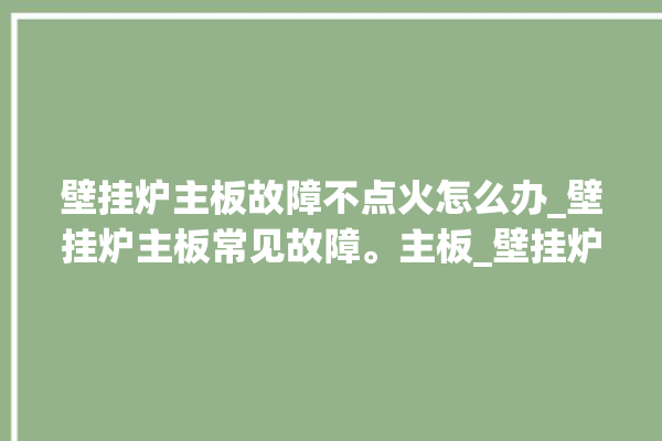 壁挂炉主板故障不点火怎么办_壁挂炉主板常见故障。主板_壁挂炉