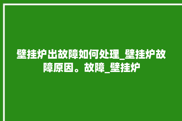 壁挂炉出故障如何处理_壁挂炉故障原因。故障_壁挂炉