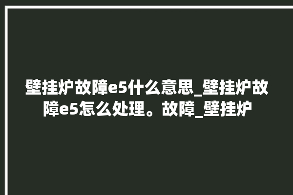 壁挂炉故障e5什么意思_壁挂炉故障e5怎么处理。故障_壁挂炉