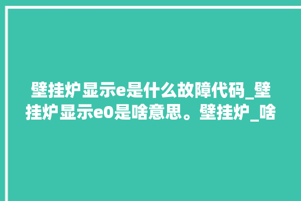 壁挂炉显示e是什么故障代码_壁挂炉显示e0是啥意思。壁挂炉_啥意思