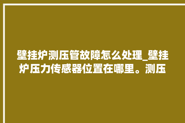 壁挂炉测压管故障怎么处理_壁挂炉压力传感器位置在哪里。测压管_壁挂炉