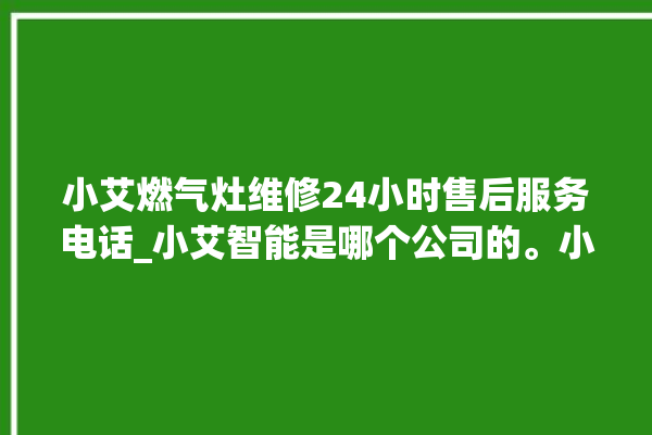 小艾燃气灶维修24小时售后服务电话_小艾智能是哪个公司的。小艾_服务电话