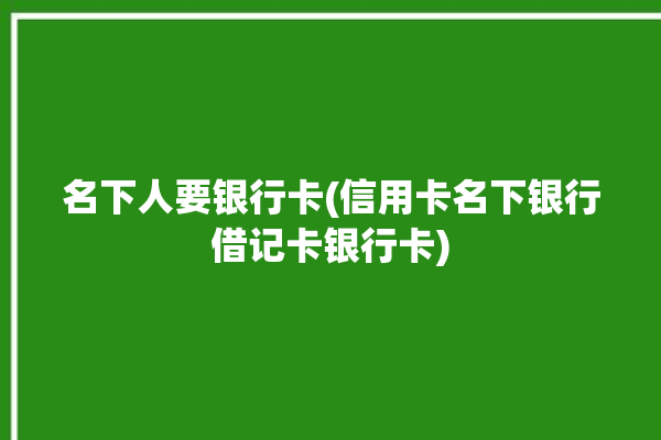 名下人要银行卡(信用卡名下银行借记卡银行卡)