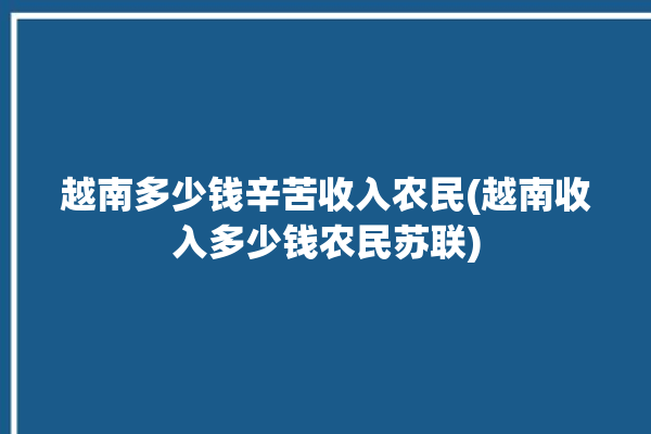 越南多少钱辛苦收入农民(越南收入多少钱农民苏联)