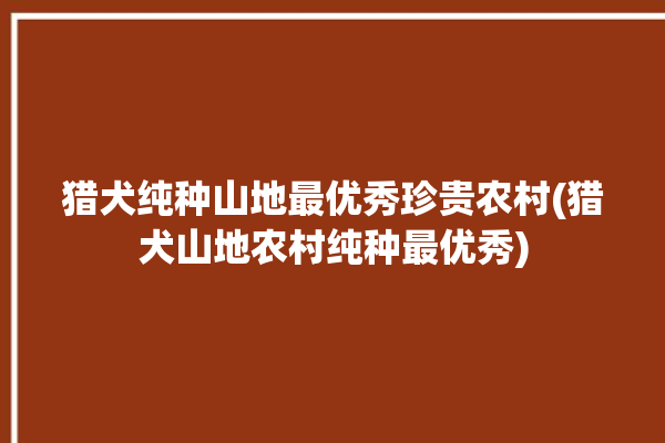 猎犬纯种山地最优秀珍贵农村(猎犬山地农村纯种最优秀)