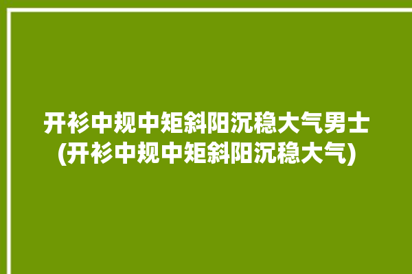 开衫中规中矩斜阳沉稳大气男士(开衫中规中矩斜阳沉稳大气)