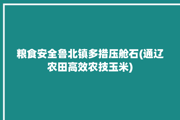 粮食安全鲁北镇多措压舱石(通辽农田高效农技玉米)