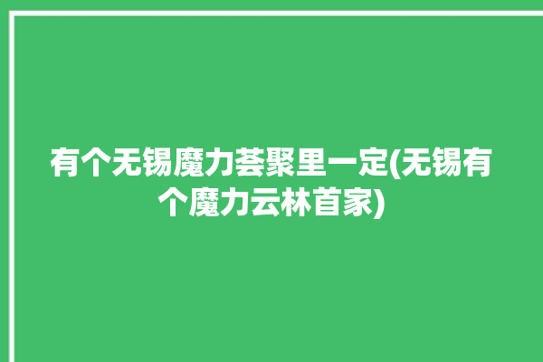 有个无锡魔力荟聚里一定(无锡有个魔力云林首家)