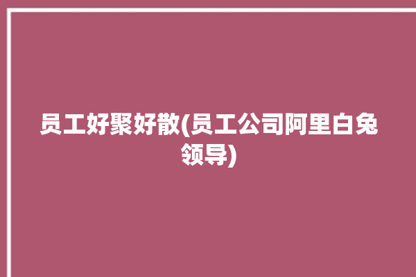 员工好聚好散(员工公司阿里白兔领导)