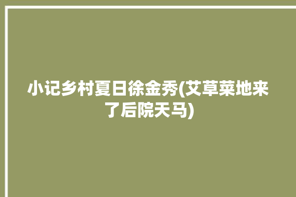 小记乡村夏日徐金秀(艾草菜地来了后院天马)