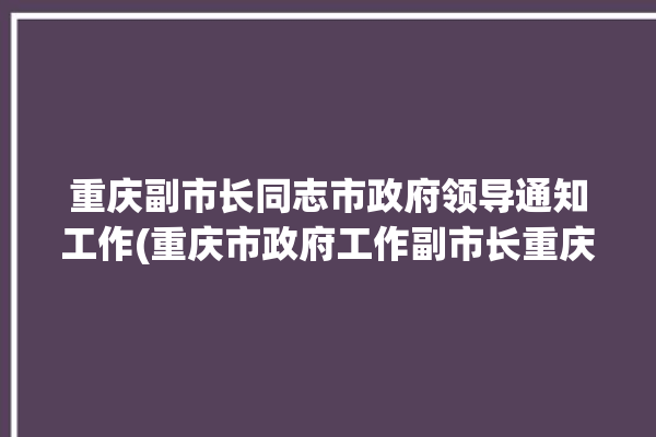 重庆副市长同志市政府领导通知工作(重庆市政府工作副市长重庆市)