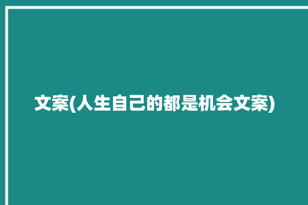 文案(人生自己的都是机会文案)