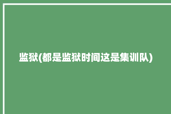 监狱(都是监狱时间这是集训队)