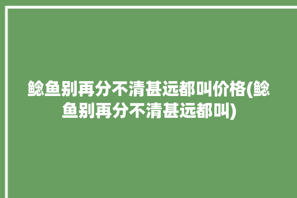 鲶鱼别再分不清甚远都叫价格(鲶鱼别再分不清甚远都叫)