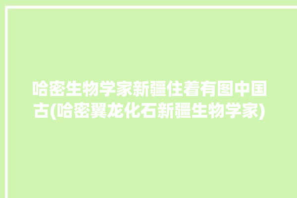 哈密生物学家新疆住着有图中国古(哈密翼龙化石新疆生物学家)