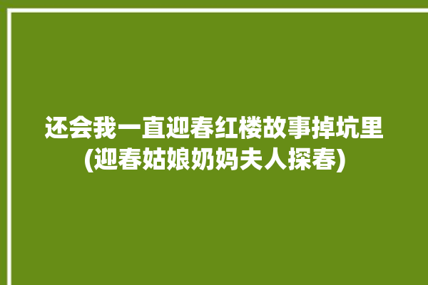 还会我一直迎春红楼故事掉坑里(迎春姑娘奶妈夫人探春)