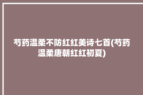 芍药温柔不防红红美诗七首(芍药温柔唐朝红红初夏)