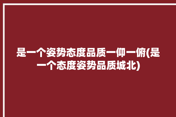 是一个姿势态度品质一仰一俯(是一个态度姿势品质城北)