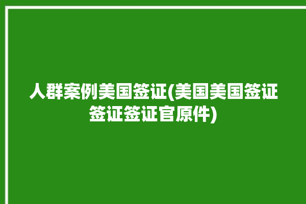 人群案例美国签证(美国美国签证签证签证官原件)