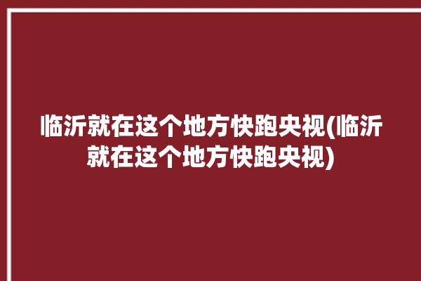 临沂就在这个地方快跑央视(临沂就在这个地方快跑央视)