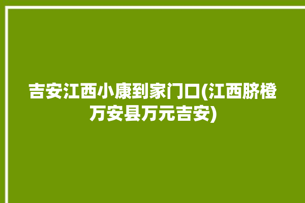 吉安江西小康到家门口(江西脐橙万安县万元吉安)