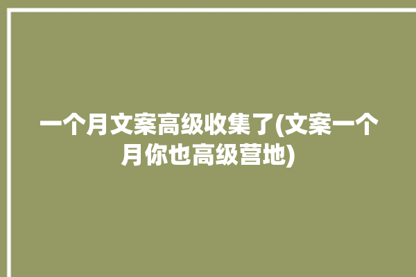 一个月文案高级收集了(文案一个月你也高级营地)