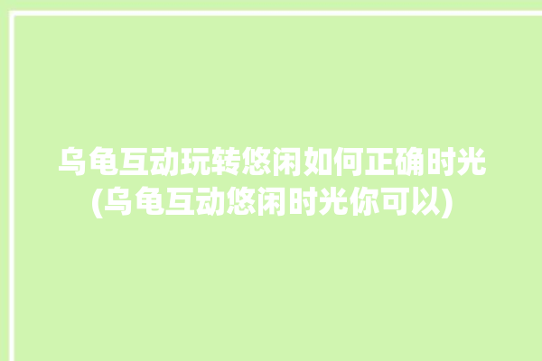 乌龟互动玩转悠闲如何正确时光(乌龟互动悠闲时光你可以)