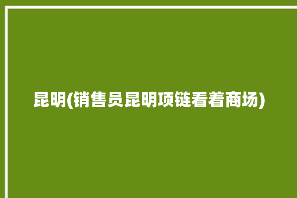 昆明(销售员昆明项链看着商场)