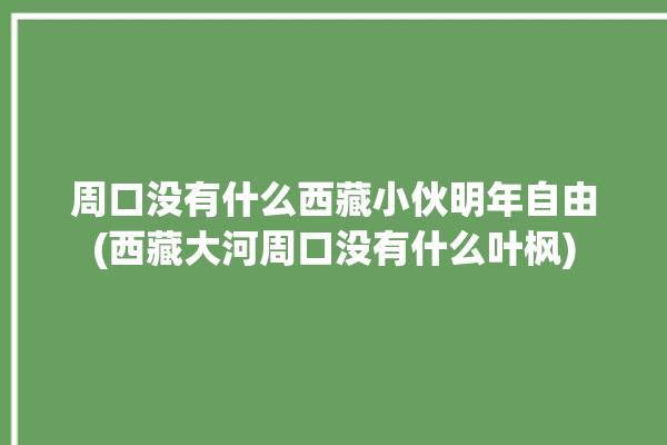 周口没有什么西藏小伙明年自由(西藏大河周口没有什么叶枫)