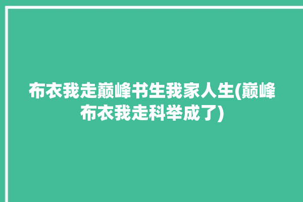 布衣我走巅峰书生我家人生(巅峰布衣我走科举成了)