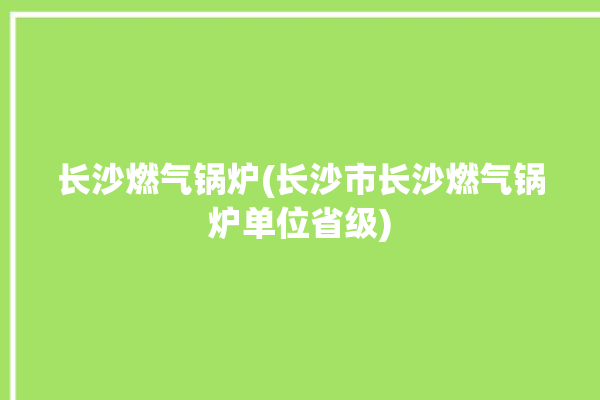 长沙燃气锅炉(长沙市长沙燃气锅炉单位省级)