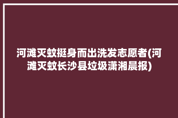 河滩灭蚊挺身而出洗发志愿者(河滩灭蚊长沙县垃圾潇湘晨报)