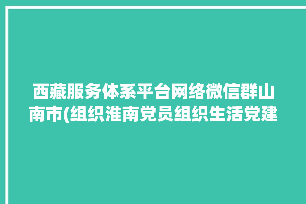 西藏服务体系平台网络微信群山南市(组织淮南党员组织生活党建)