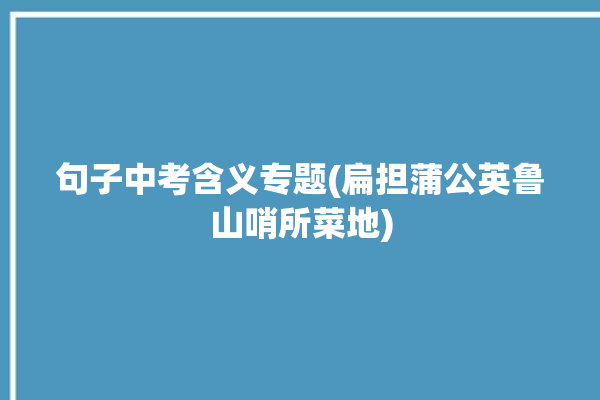 句子中考含义专题(扁担蒲公英鲁山哨所菜地)