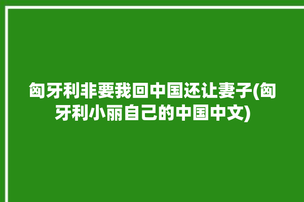 匈牙利非要我回中国还让妻子(匈牙利小丽自己的中国中文)