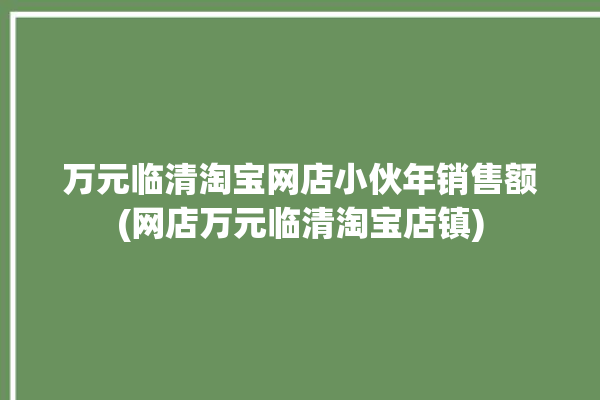 万元临清淘宝网店小伙年销售额(网店万元临清淘宝店镇)