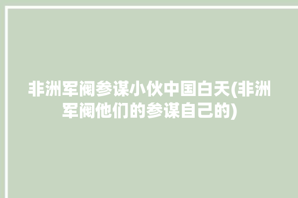 非洲军阀参谋小伙中国白天(非洲军阀他们的参谋自己的)