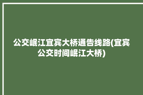 公交岷江宜宾大桥通告线路(宜宾公交时间岷江大桥)