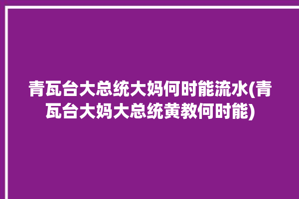 青瓦台大总统大妈何时能流水(青瓦台大妈大总统黄教何时能)