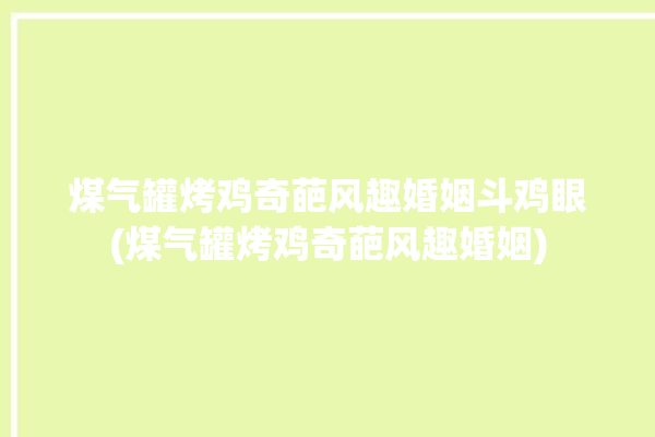 煤气罐烤鸡奇葩风趣婚姻斗鸡眼(煤气罐烤鸡奇葩风趣婚姻)