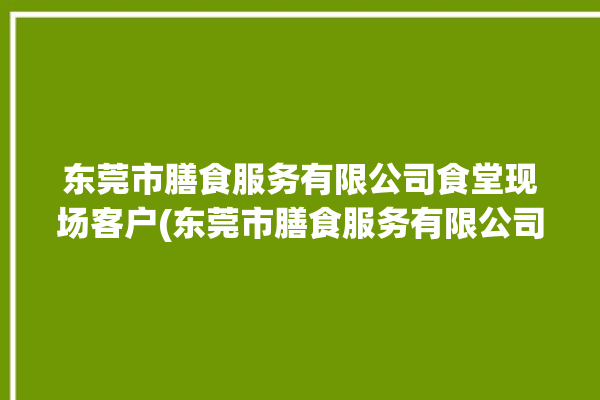 东莞市膳食服务有限公司食堂现场客户(东莞市膳食服务有限公司食堂现场)