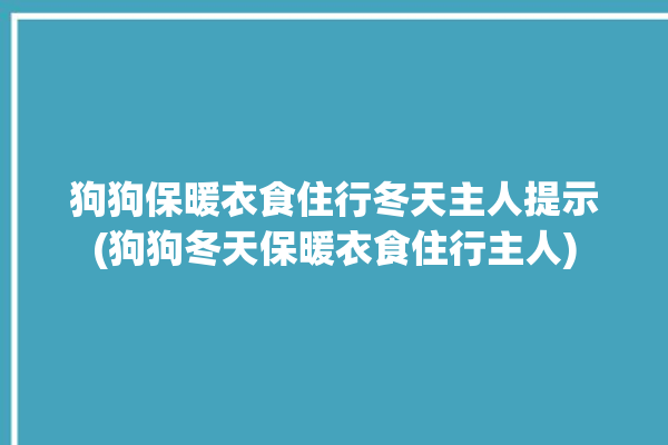 狗狗保暖衣食住行冬天主人提示(狗狗冬天保暖衣食住行主人)