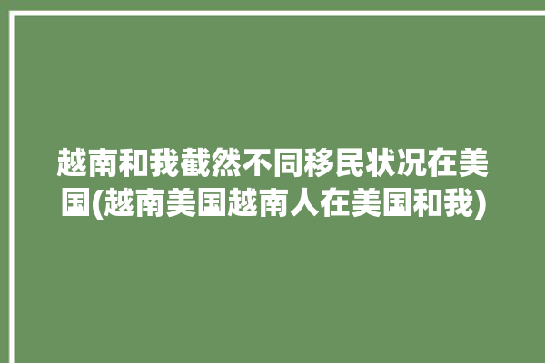 越南和我截然不同移民状况在美国(越南美国越南人在美国和我)