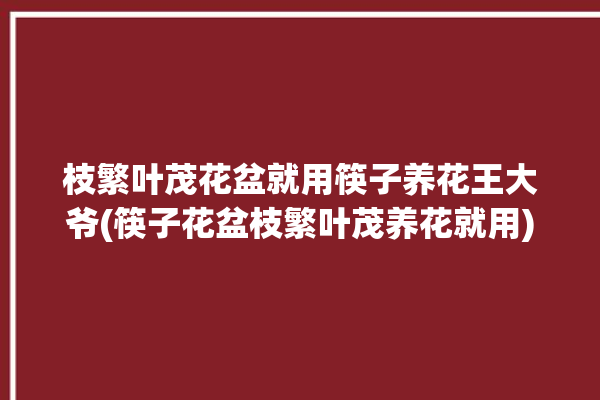 枝繁叶茂花盆就用筷子养花王大爷(筷子花盆枝繁叶茂养花就用)